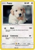 Puppy