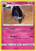 Dogs