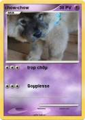 chow-chow