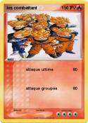 les combattant