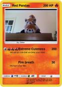 Red Pandas