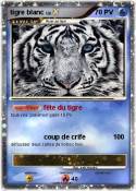 tigre blanc