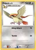 Pidgeot