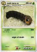 moth larva ex