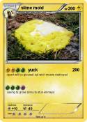 slime mold