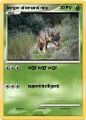 berger allemand
