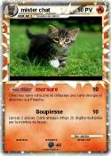 mister chat