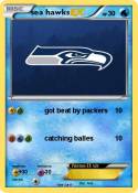 sea hawks