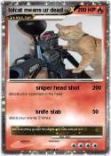 lolcat means