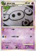 ghost pig