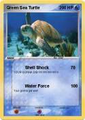 Green Sea Turtl