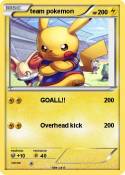 team pokemon