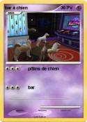 bar à chien