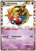 mini bowser