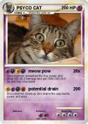 PSYCO CAT