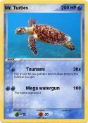 Mr. Turtles