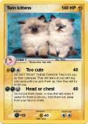 Twin kittens