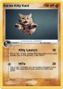 Karate Kitty