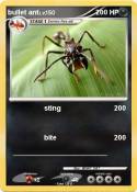 bullet ant