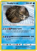 Reality's cat