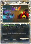 lightdarckbirds