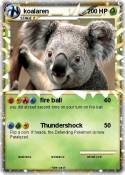 koalaren