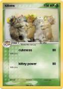 kittens