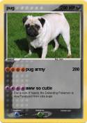 pug