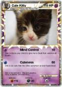 Cute Kitty