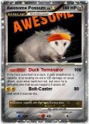 Awesome Possum