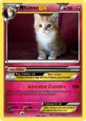 Kitten