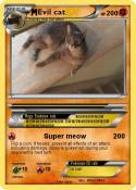 Evil cat