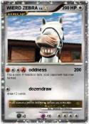 WIERD ZEBRA
