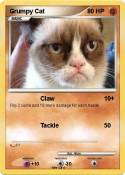 Grumpy Cat