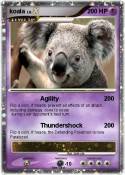 koala