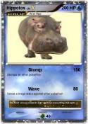 Hippotos