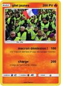 gilet jaunes