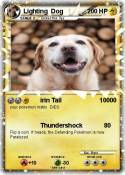 Lighting Dog