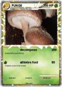 FUNGII