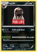 Pug life