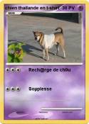 chien