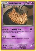 goldfish kitten
