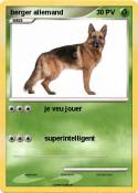 berger allemand