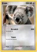 Koala