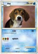 dog