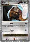 Bark