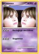 les jumeaux