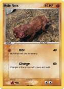 Mole Rats
