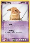 funny bunny