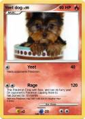 Yeet dog